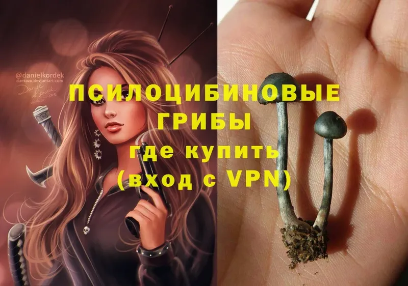 Галлюциногенные грибы Psilocybe  Мышкин 